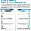 5 Core Ethernet Cable 10 Feet 1 Piece Blue Cat 6 Cord Premium RJ45 Internet Cable Cat6 Compatible w Cat 5 Cat 7 Cat 5e Network Cable - ET 10FT BLU
